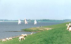 Elbe in Bielenberg
