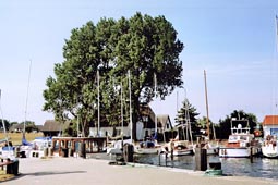 Hiddensee Neuendorf Hafen