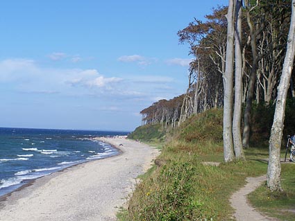 Nienhagen - Gespensterwald