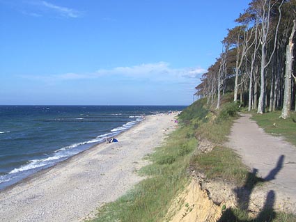 Nienhagen Gespensterwald und Strand