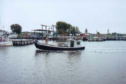 Thiessow Hafen 2