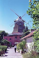 Warnemünde - Alte Mühle
