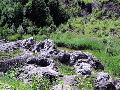 Kalkgrube Lieth - Geotop Gesteinsformation