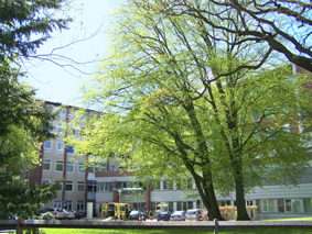 Klinik