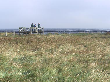 Amrum
                                        Aussicht