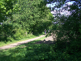 Wanderweg Barmstedt