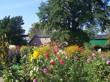 Arboretum