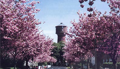 Elmshorn
                        Wasserturm