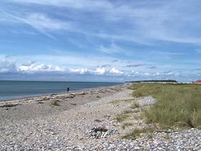 Fehmarn - Strand