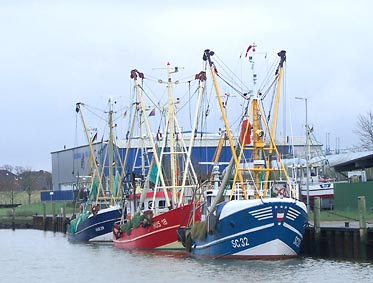 Fischkutter in Husum