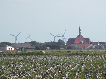 Wesselburenerkoog